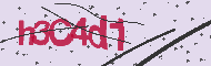 Captcha認証コード